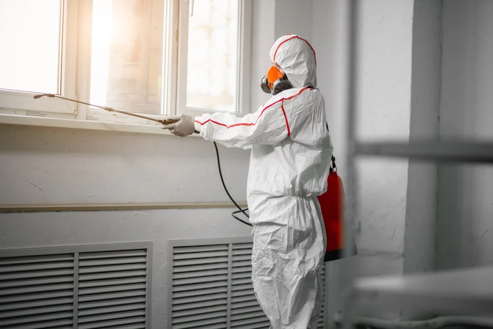 Professional mold remediation services in Battle Creek, MI
